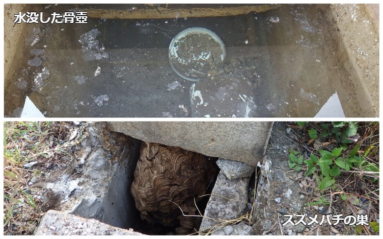 カロート内に水没した骨壺とスズメバチの巣