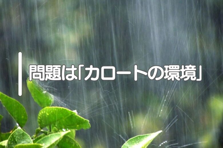 問題は「カロートの環境」