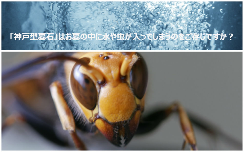 「神戸型墓石」はお墓の中に水や虫が入ってしまうのをご存じですか?