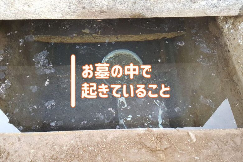 お墓の中で起きていること