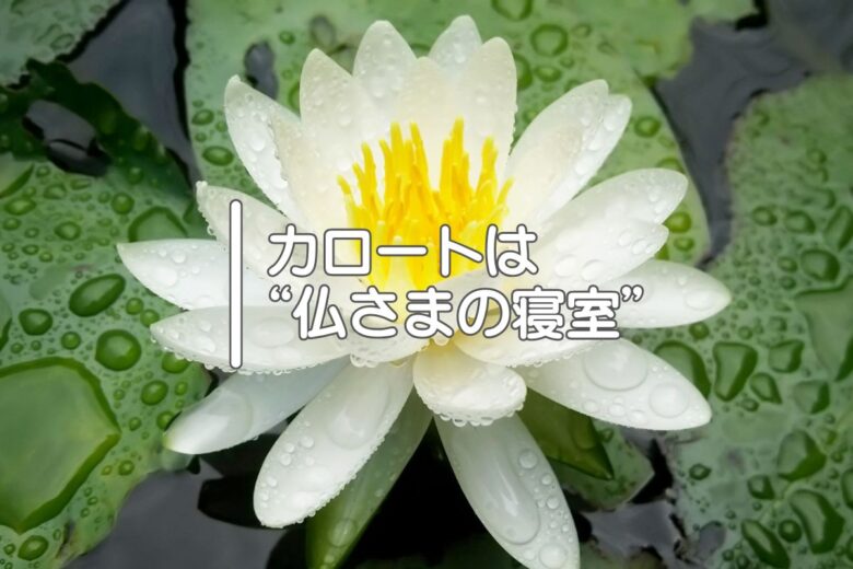 カロートは“仏さまの寝室”