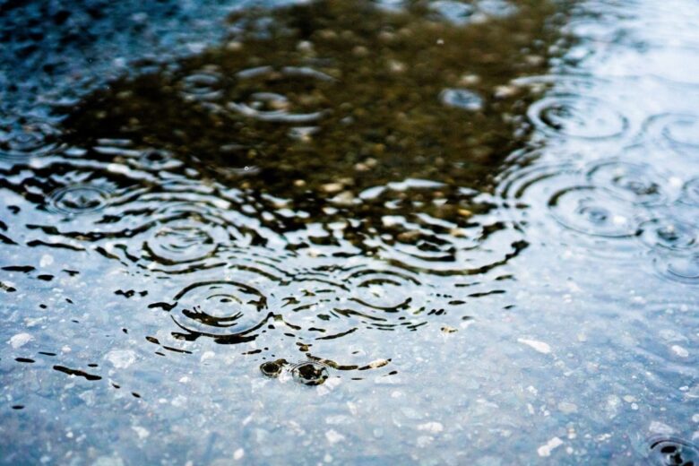 雨が降ると一面に水がたまる墓地
