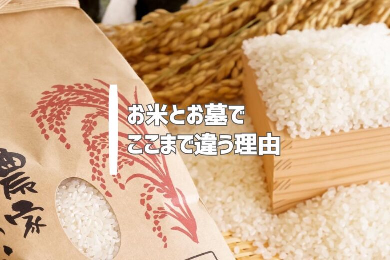 お米とお墓でここまで違う理由
